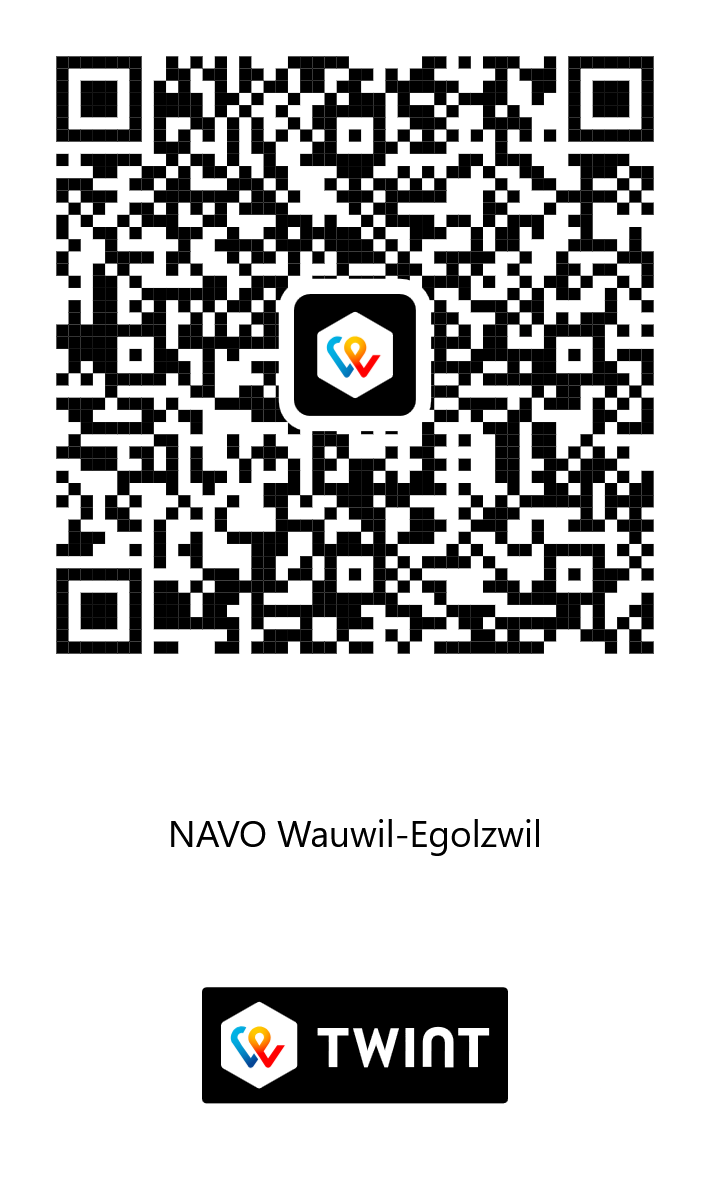 Twint Code