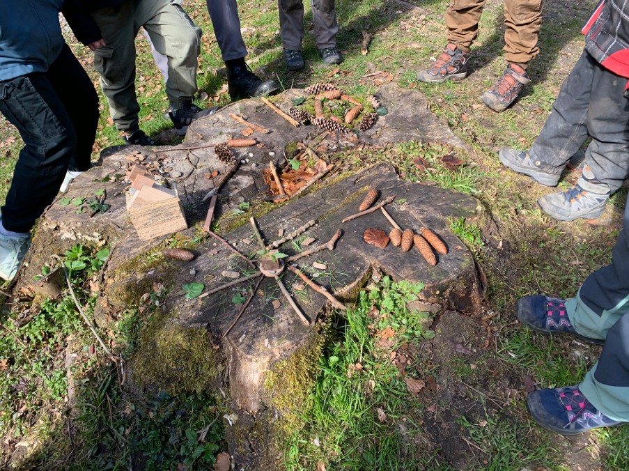 Naturgrund mit Pool und Haus