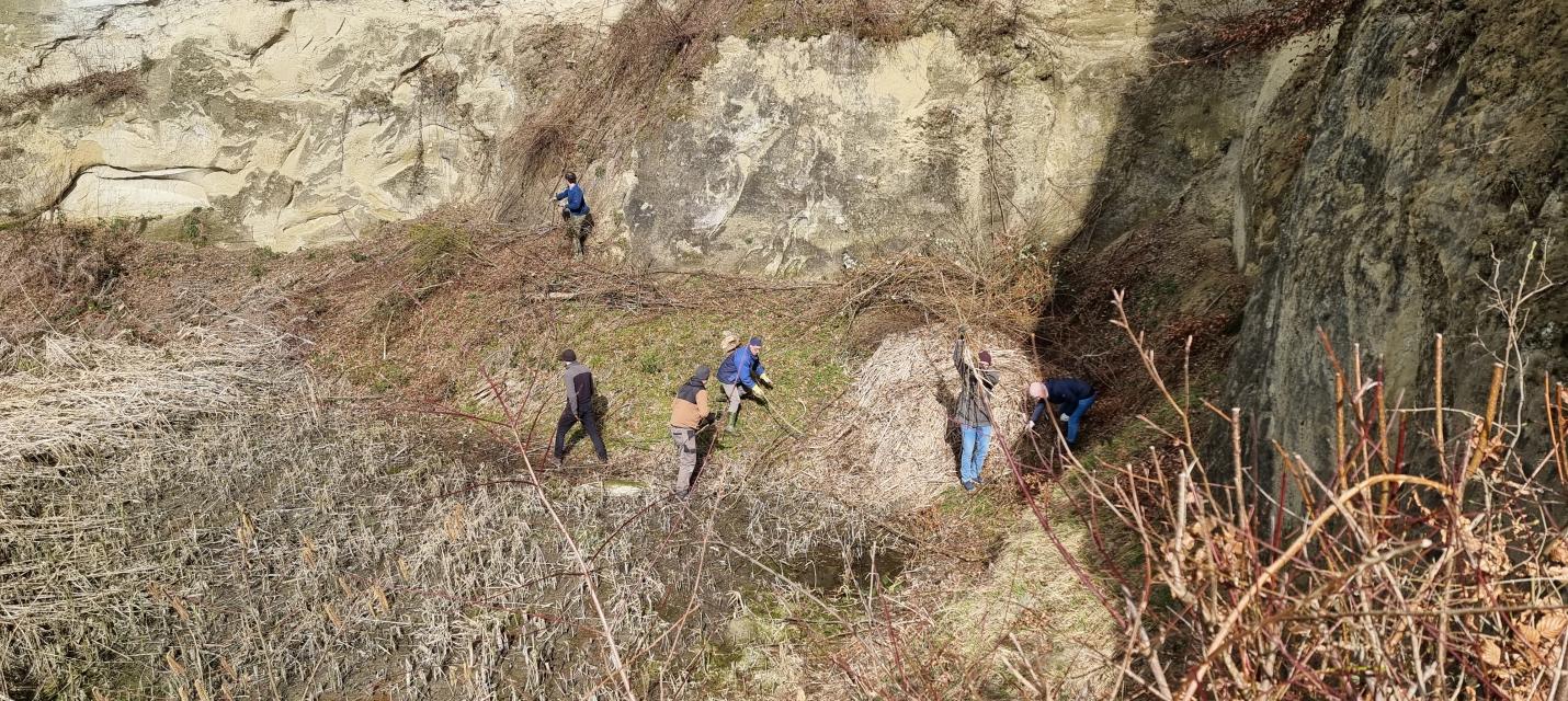 Pflegeeinsatz Sandgrube