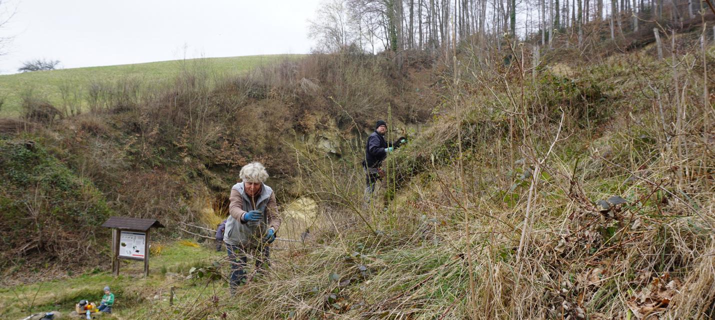 Entfernen der Brombeerenranken bei der Sandgrube