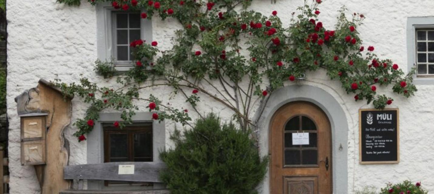 Müli Geuensee mit Eingang.