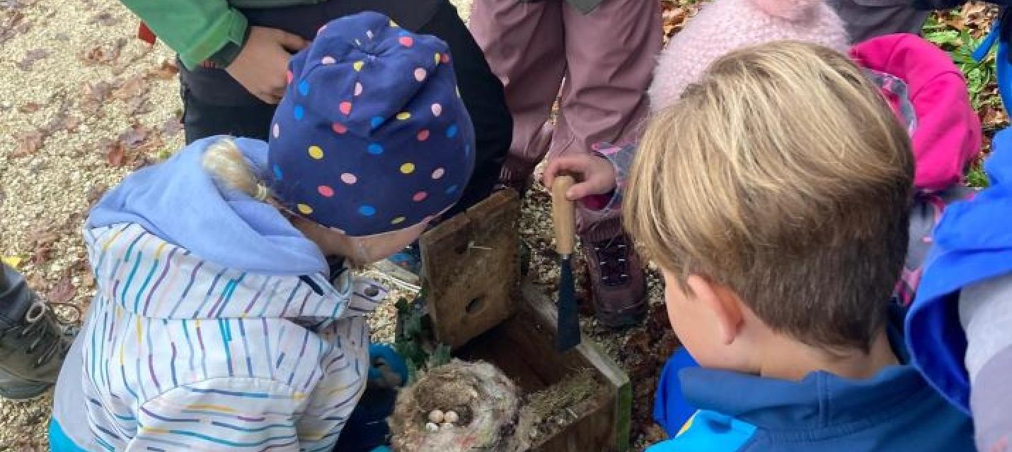 Bild von einem Einsatz, Nistkastenpflege