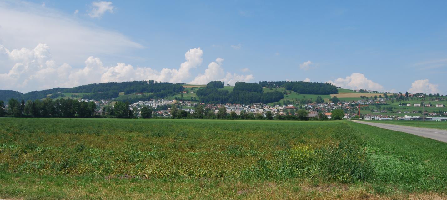 Wauwiler Moos mit Santenberg