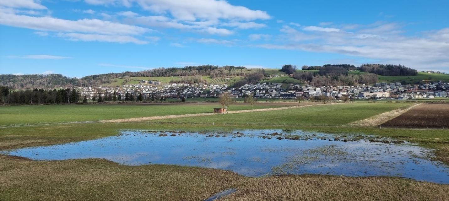 Blick auf den NAVO-Streifen mit dem Santenberg im Hintergrund