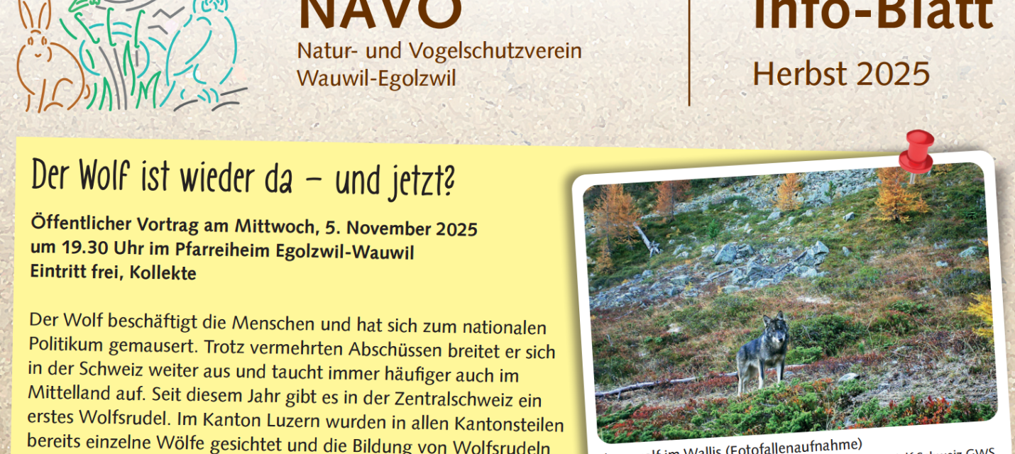 Infoblatt Herbst 2025