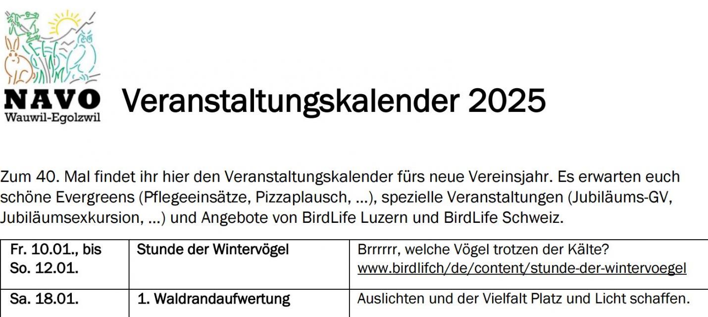 Ausschnitt des Jahresprogramms