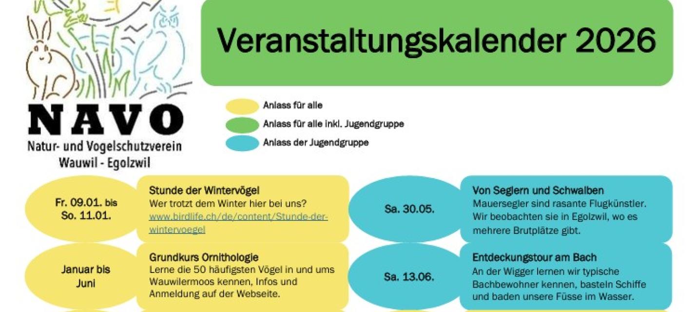 Bild des Jahresprogramms