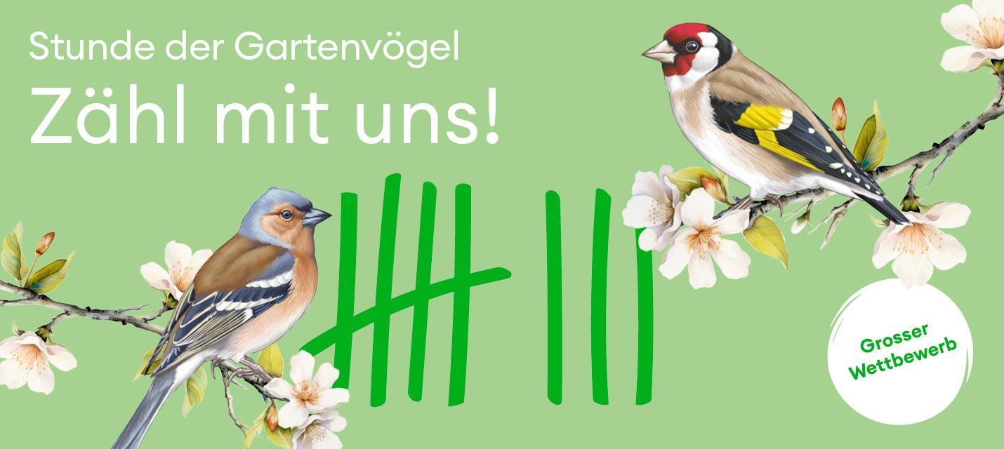 Stunde der Gartenvögel 2026