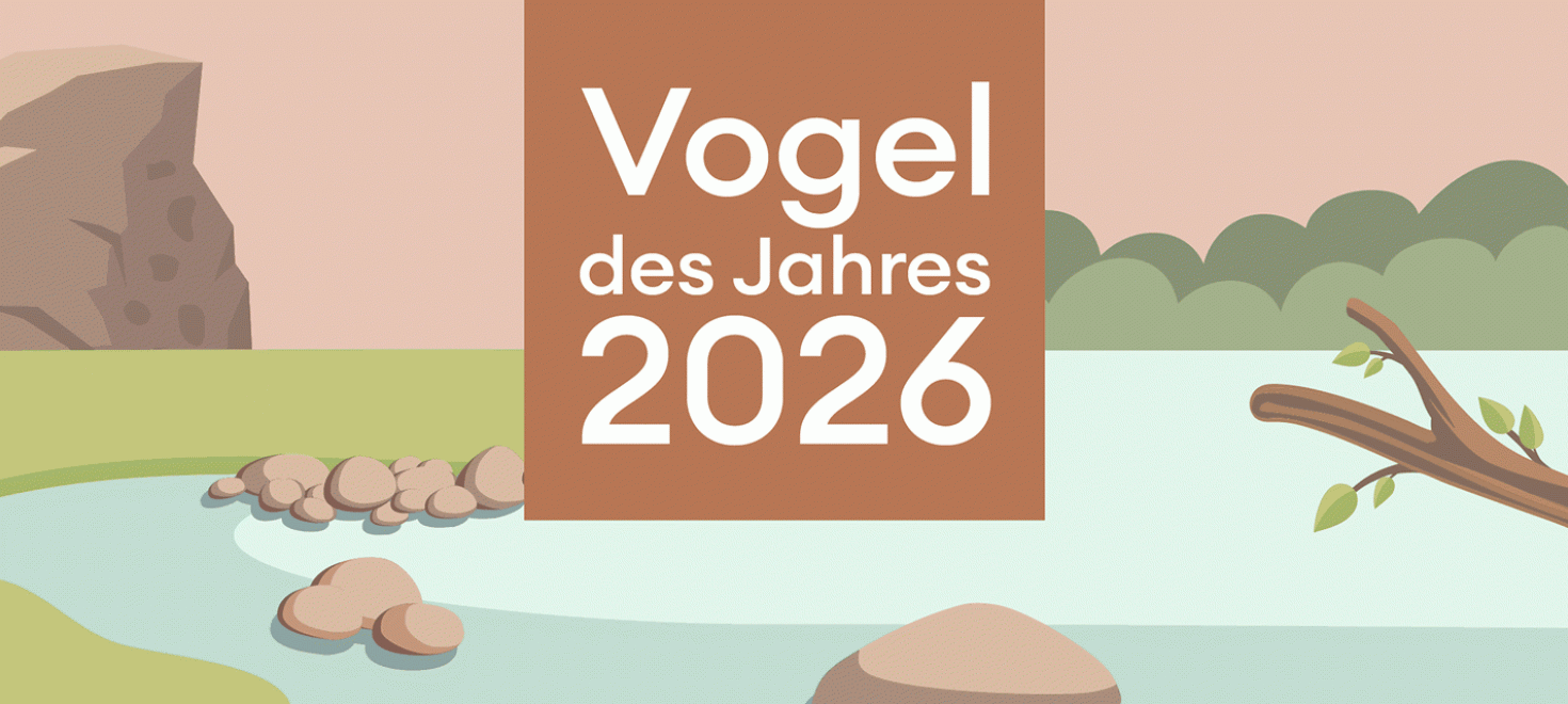 Vogel des Jahres 2026